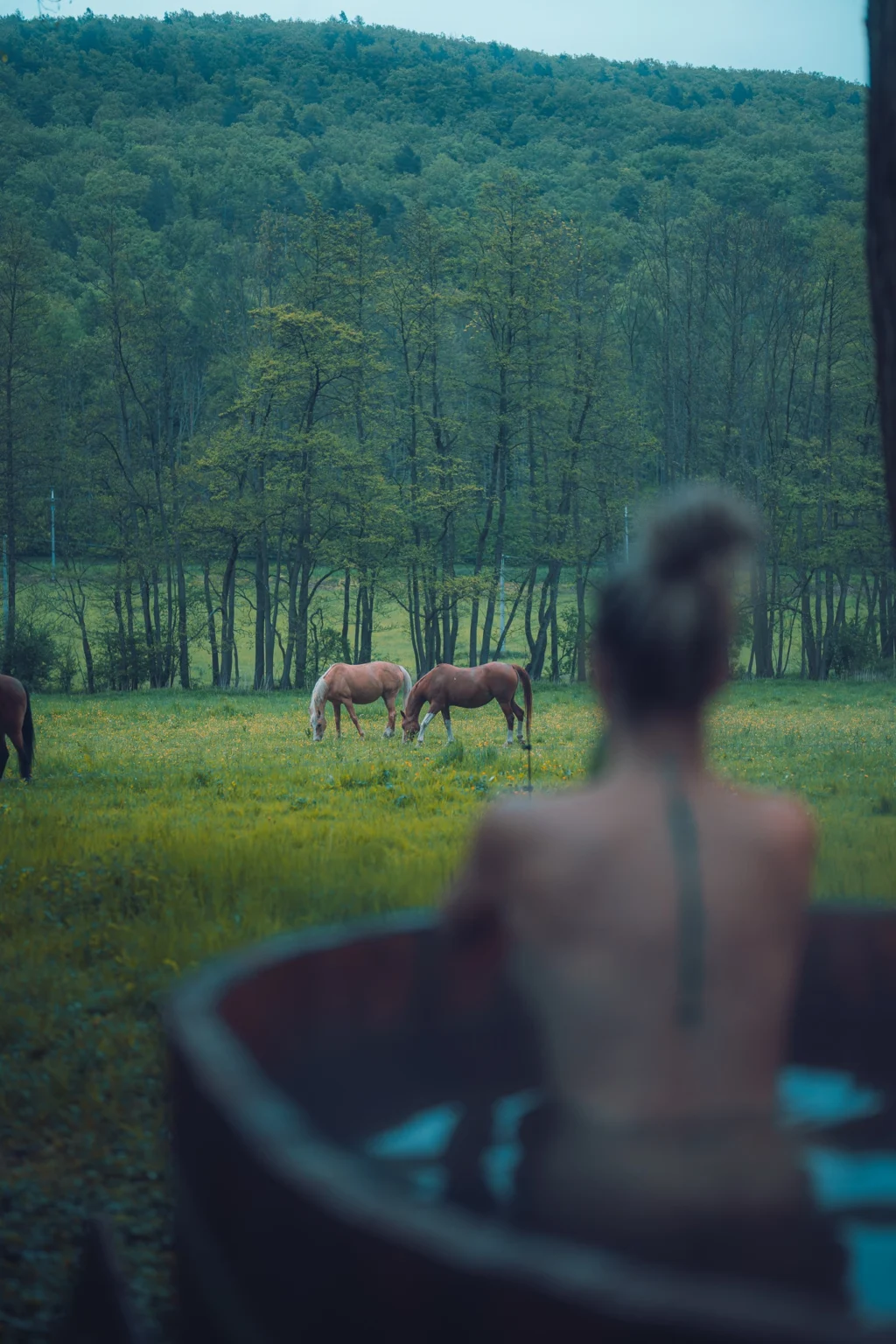 saundomek venku s kadi